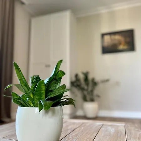 Apartamento Royal - Z Widokiem Na Góry I Deptak, Blisko Szlaków Turystycznych I Restauracji, Parking W Garażu W Cenie! Karpacz